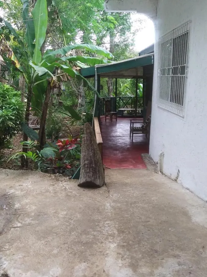 Moves Rasta Cottage Negril Nyaraló
